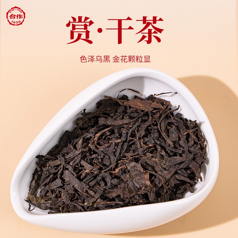 茯祿雙全·黑茶茯茶