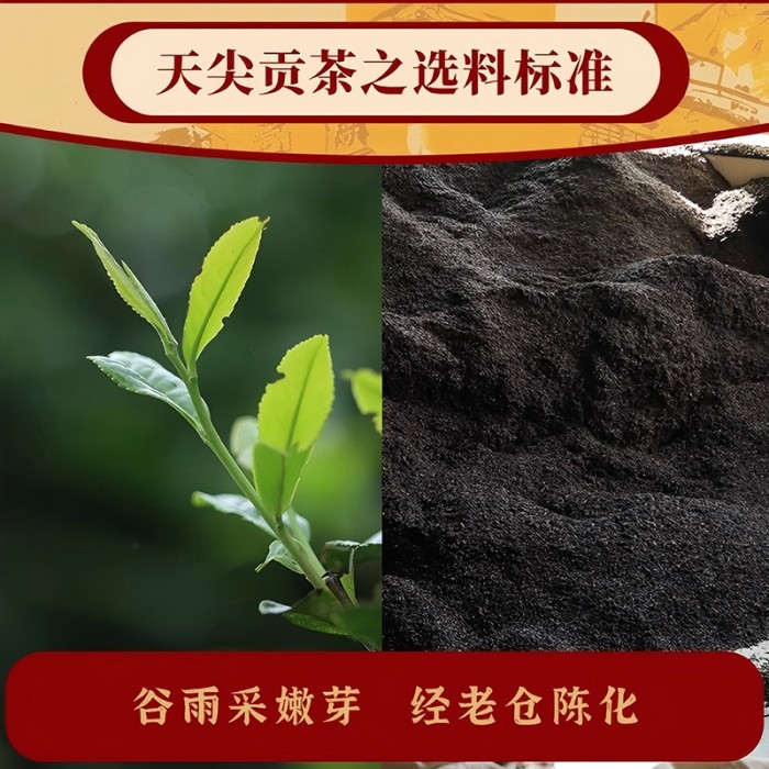 大師莊園乙巳龍珠