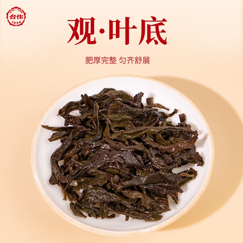 鴻運當頭·大紅袍